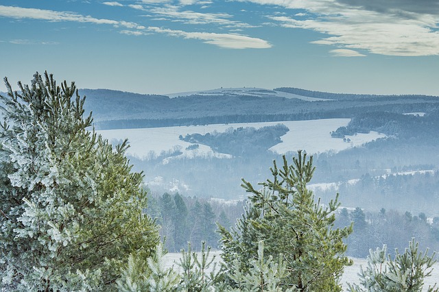 Podkarpackie Poľsko.jpg